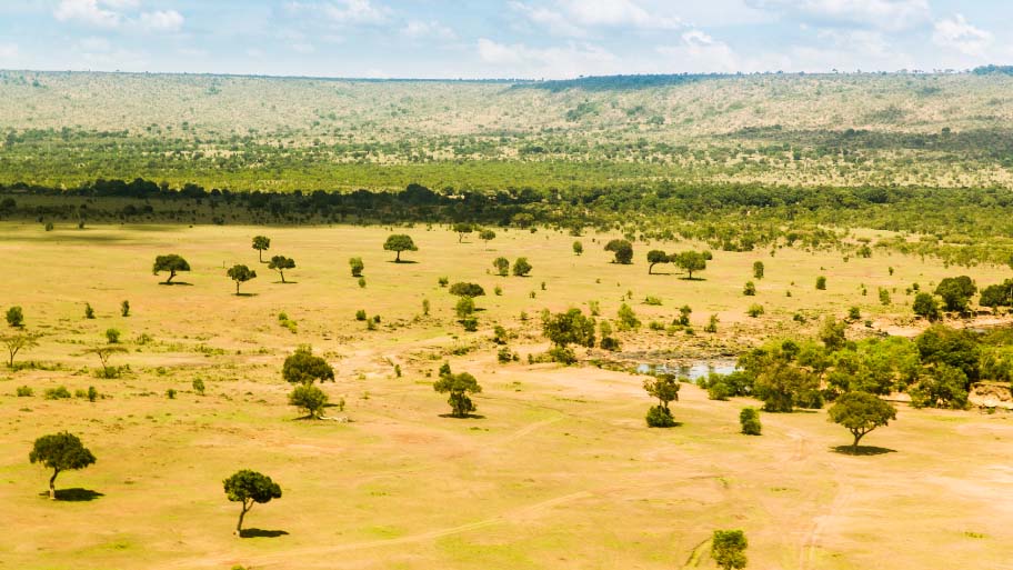 Maasai Mara National Reserve Savanna at Africa