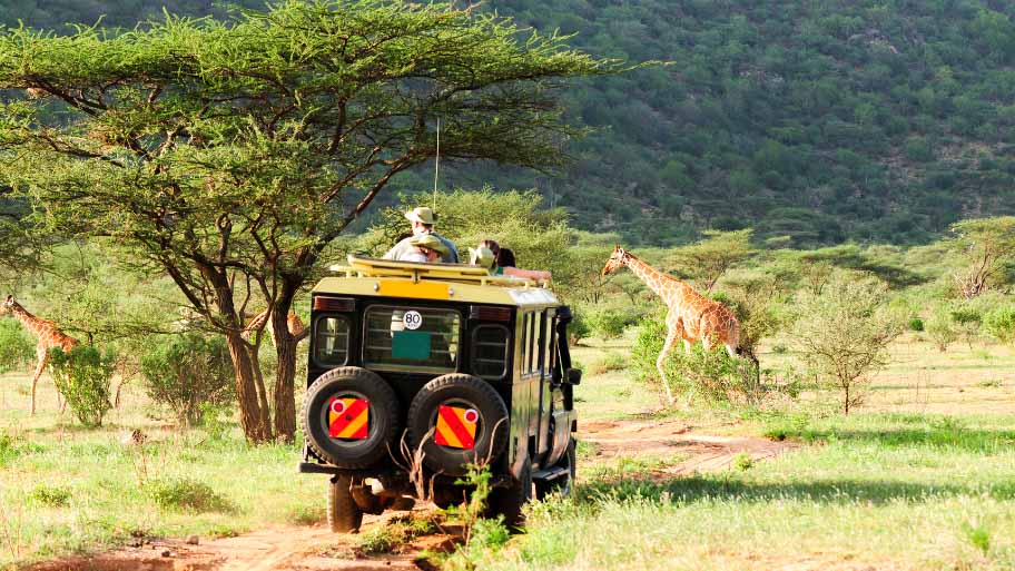 Safari in Kenya