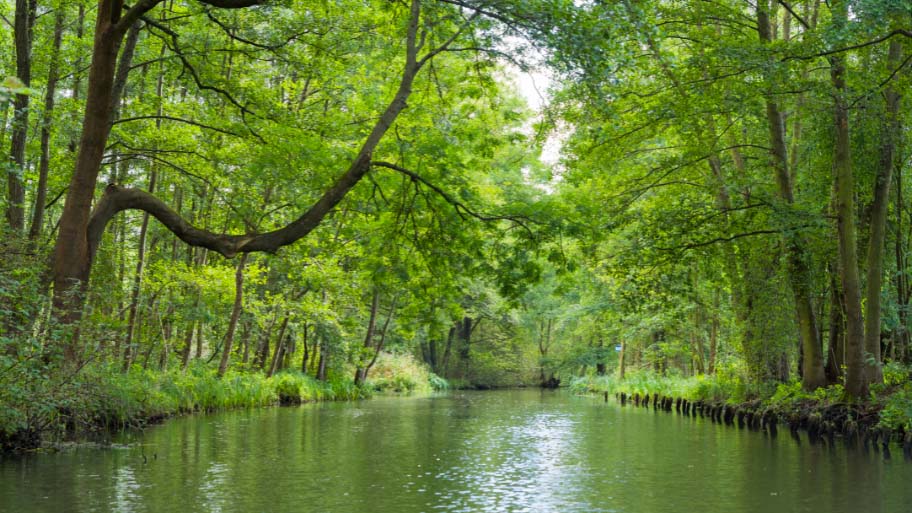 Spreewald, Brandenburg