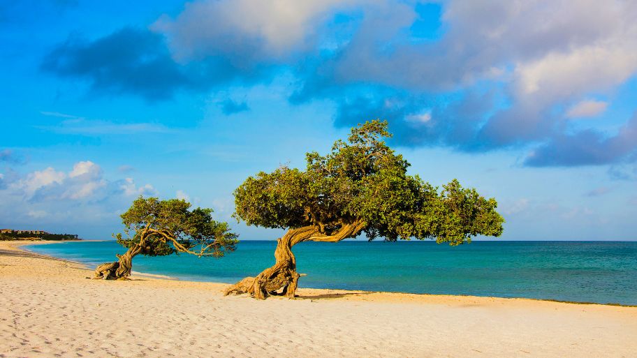 Saint Lucia – West Indies Saint Lucia - West Indies
