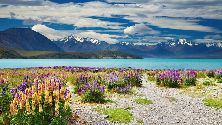 Lake Tekapo Lake Tekapo