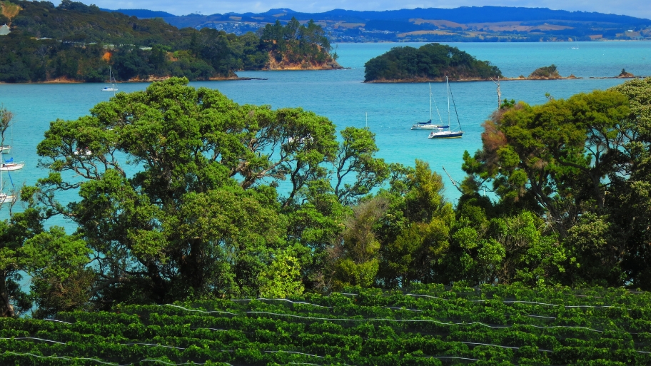 Waiheke Island, New Zealand Waiheke Island, New Zealand